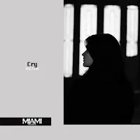 Riltim — I'm Sorry And Goodbye — обложка