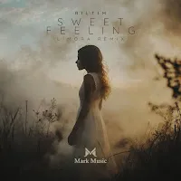 Riltim — Sweet Feeling (Limora Remix) — обложка